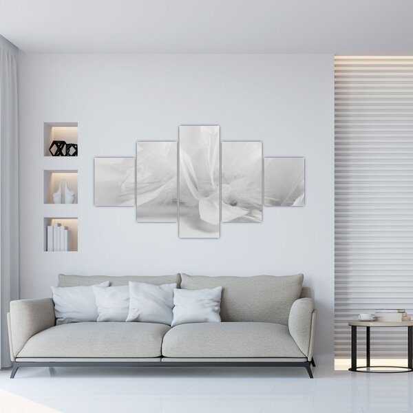 Obraz - Peří (125x70 cm)