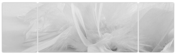 Obraz - Peří (170x50 cm)