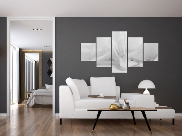 Obraz - Peří (125x70 cm)