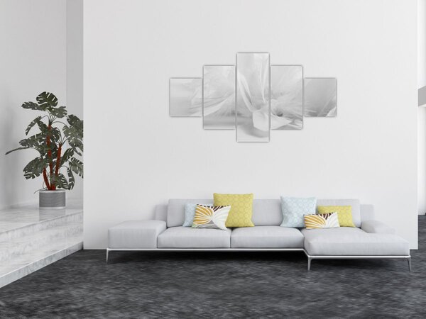 Obraz - Peří (125x70 cm)