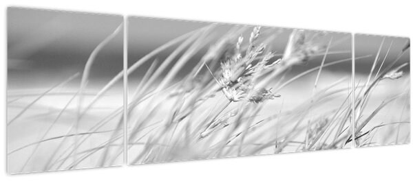 Obraz - Plážová tráva (170x50 cm)