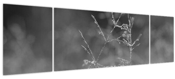 Obraz - Venkovská louka (170x50 cm)
