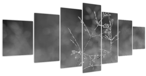 Obraz - Venkovská louka (210x100 cm)