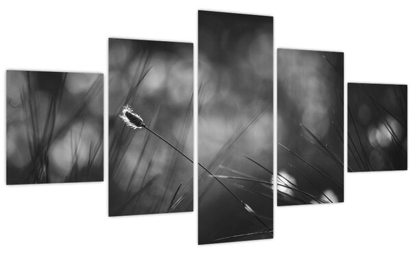 Obraz - Luční tráva (125x70 cm)