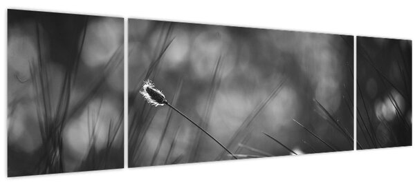 Obraz - Luční tráva (170x50 cm)