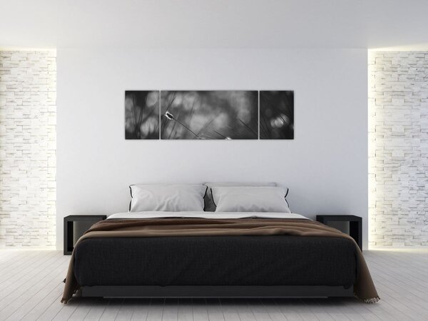 Obraz - Luční tráva (170x50 cm)
