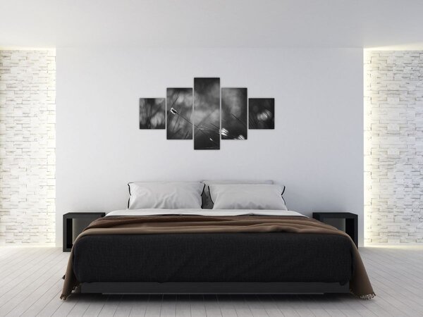 Obraz - Luční tráva (125x70 cm)