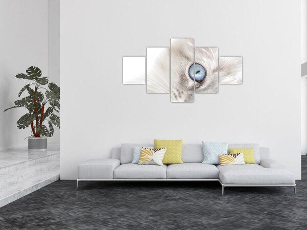 Obraz - Kočka s modrýma očima (125x70 cm)