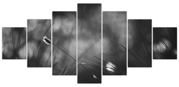Obraz - Luční tráva (210x100 cm)