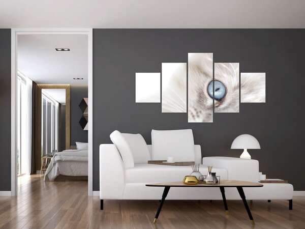 Obraz - Kočka s modrýma očima (125x70 cm)