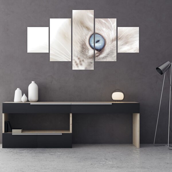 Obraz - Kočka s modrýma očima (125x70 cm)