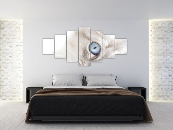 Obraz - Kočka s modrýma očima (210x100 cm)