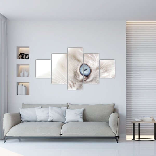 Obraz - Kočka s modrýma očima (125x70 cm)