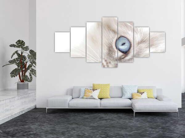 Obraz - Kočka s modrýma očima (210x100 cm)
