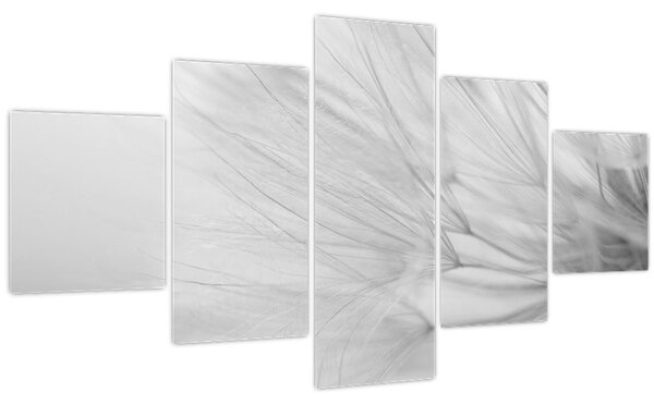 Obraz - Pampeliška (125x70 cm)