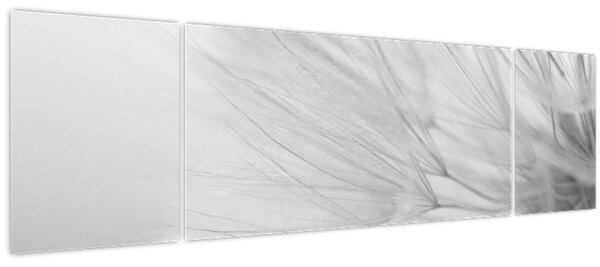 Obraz - Pampeliška (170x50 cm)