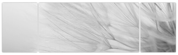 Obraz - Pampeliška (170x50 cm)