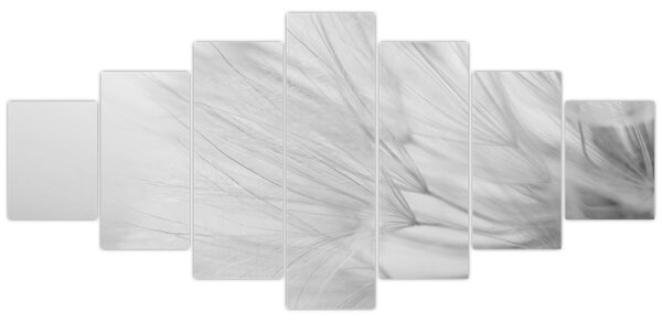Obraz - Pampeliška (210x100 cm)