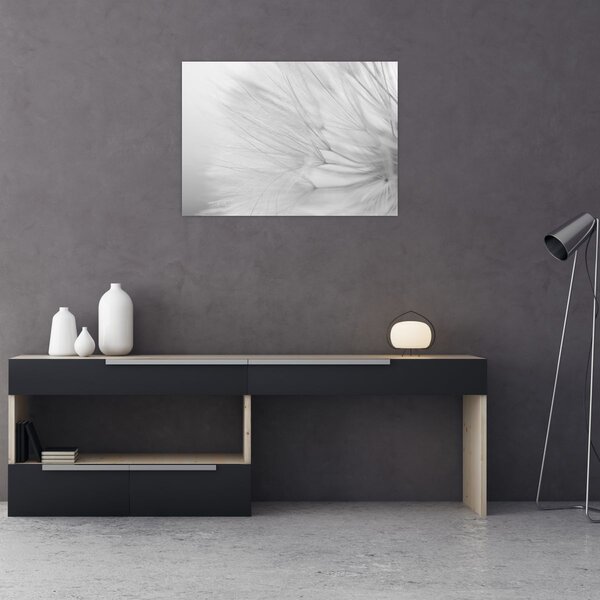 Obraz - Pampeliška (70x50 cm)