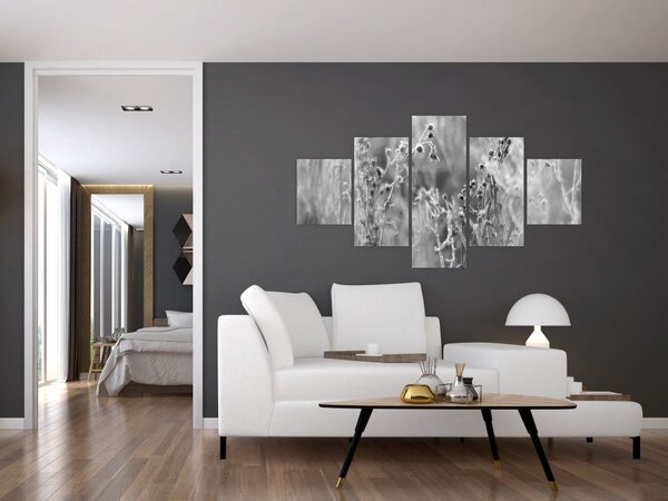 Obraz - Divoká louka (125x70 cm)