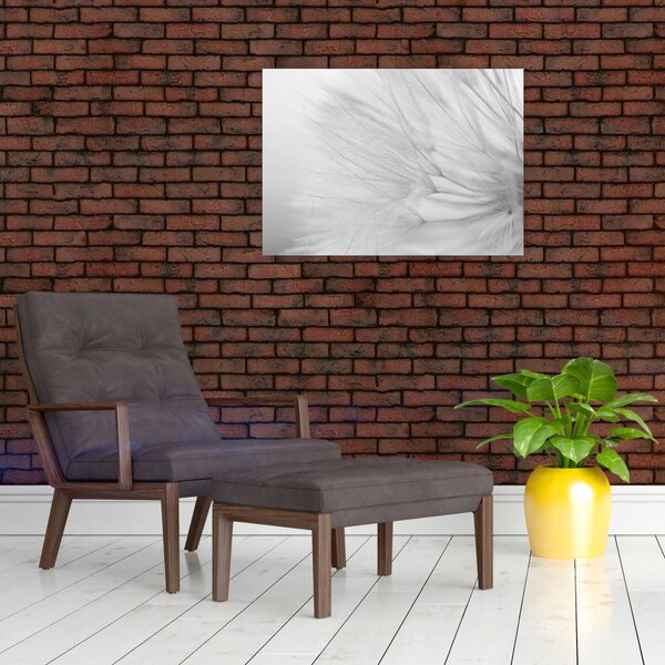 Obraz - Pampeliška (70x50 cm)