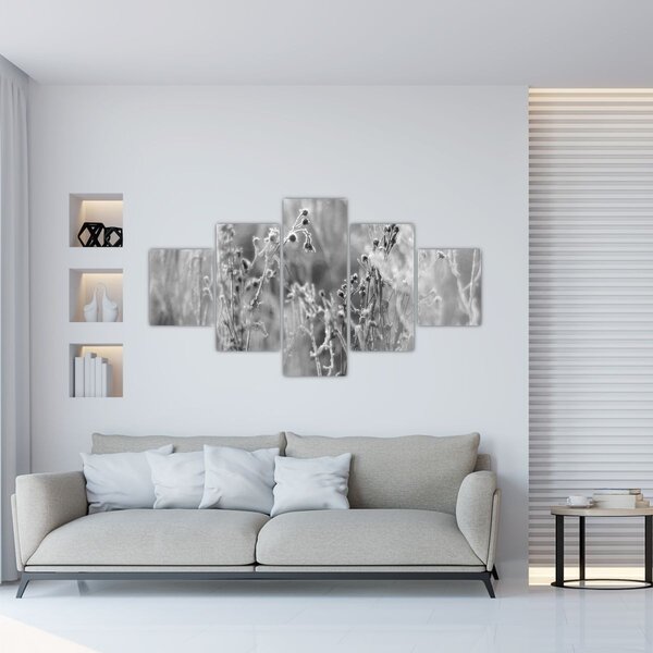 Obraz - Divoká louka (125x70 cm)