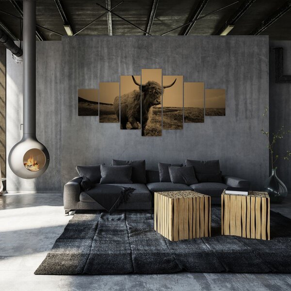 Obraz - Skotská kráva v běhu (210x100 cm)