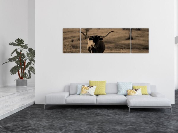 Obraz - Texaská kráva (170x50 cm)