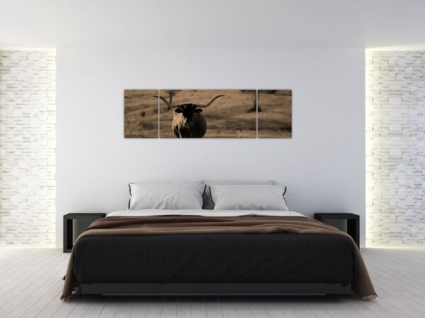Obraz - Texaská kráva (170x50 cm)