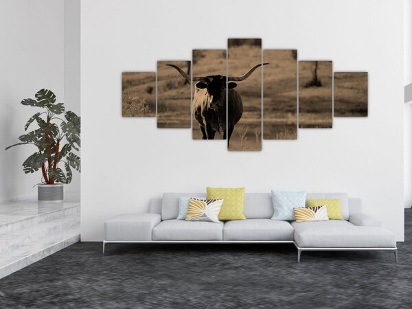 Obraz - Texaská kráva (210x100 cm)