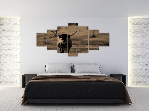 Obraz - Texaská kráva (210x100 cm)