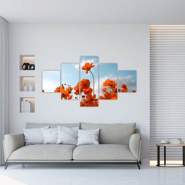 Obraz - Luční kvítí (125x70 cm)