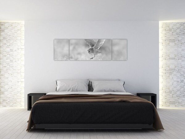 Obraz - Sova v poli (170x50 cm)