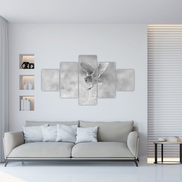 Obraz - Sova v poli (125x70 cm)