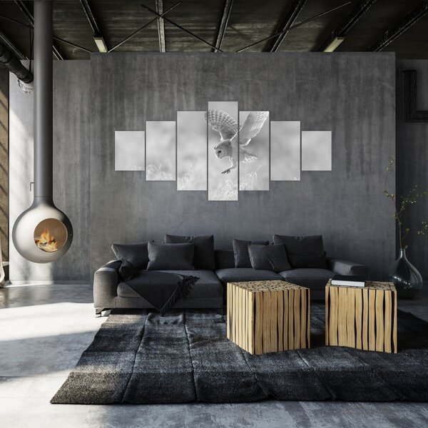 Obraz - Sova v poli (210x100 cm)
