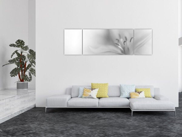 Obraz - Jemná lilie (170x50 cm)