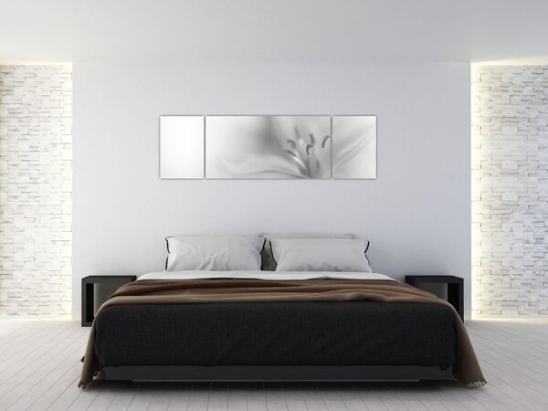 Obraz - Jemná lilie (170x50 cm)