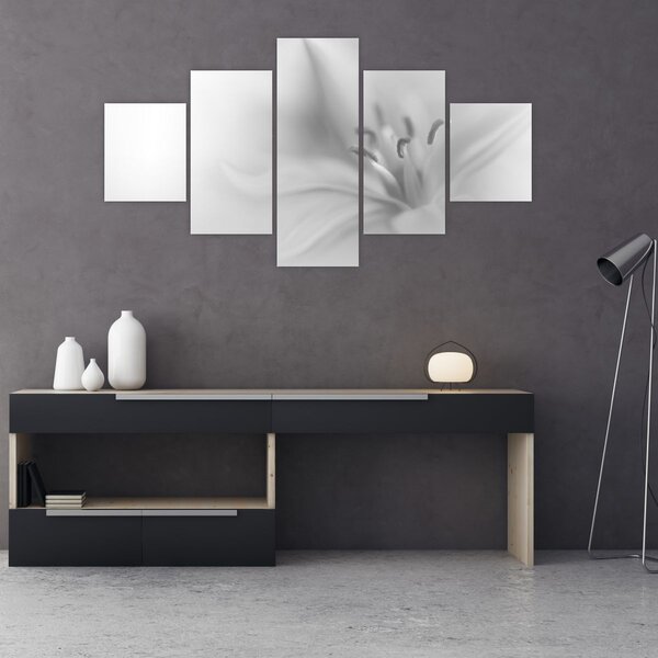 Obraz - Jemná lilie (125x70 cm)