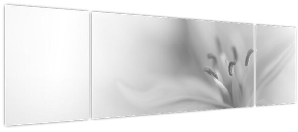 Obraz - Jemná lilie (170x50 cm)