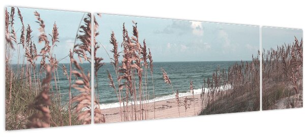 Obraz - Růžová pláž (170x50 cm)