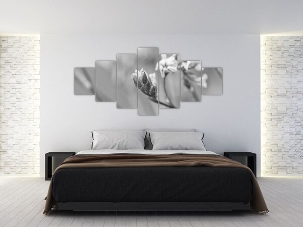 Obraz - Rozkvetlá květina (210x100 cm)