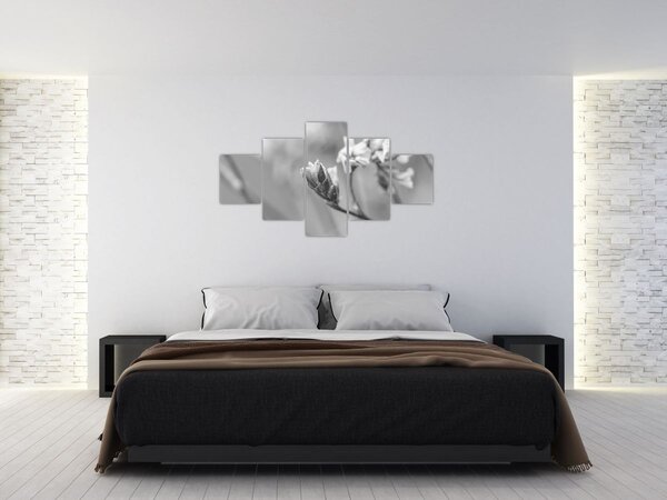 Obraz - Rozkvetlá květina (125x70 cm)