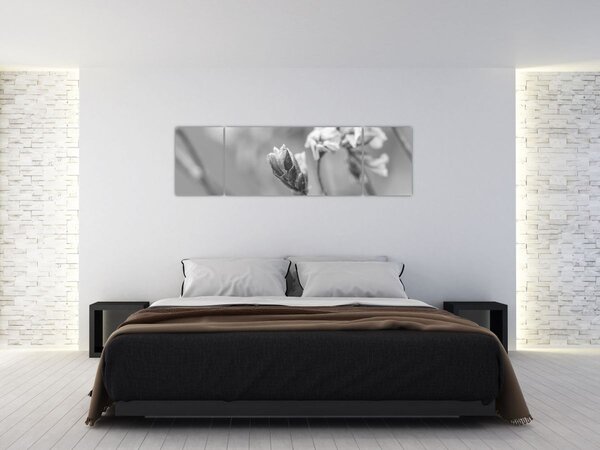 Obraz - Rozkvetlá květina (170x50 cm)