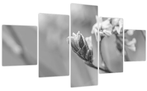 Obraz - Rozkvetlá květina (125x70 cm)