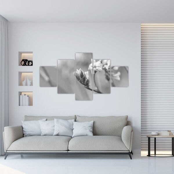 Obraz - Rozkvetlá květina (125x70 cm)