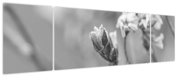 Obraz - Rozkvetlá květina (170x50 cm)