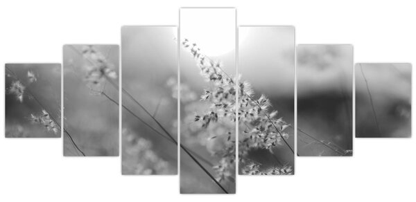 Obraz - Podzimní louka (210x100 cm)