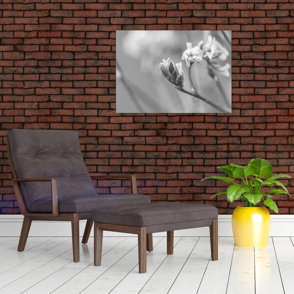 Obraz - Rozkvetlá květina (70x50 cm)