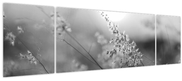 Obraz - Podzimní louka (170x50 cm)