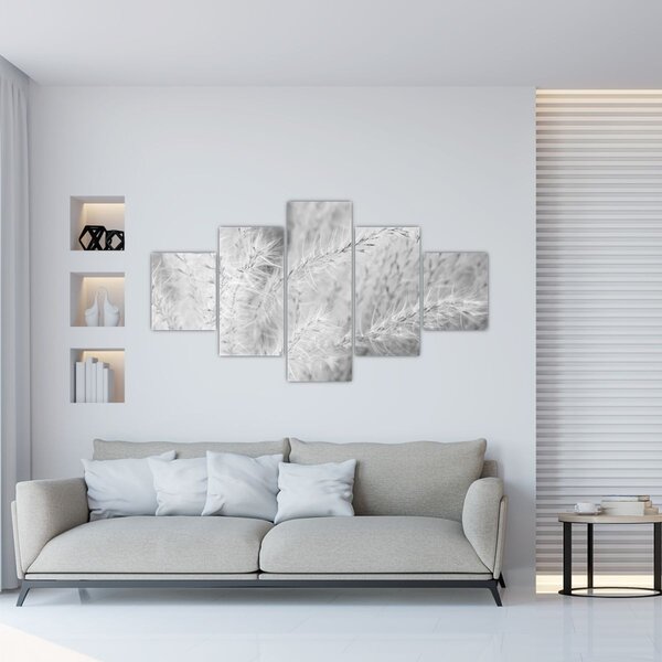 Obraz - Pampas grass N⁰1 (125x70 cm)